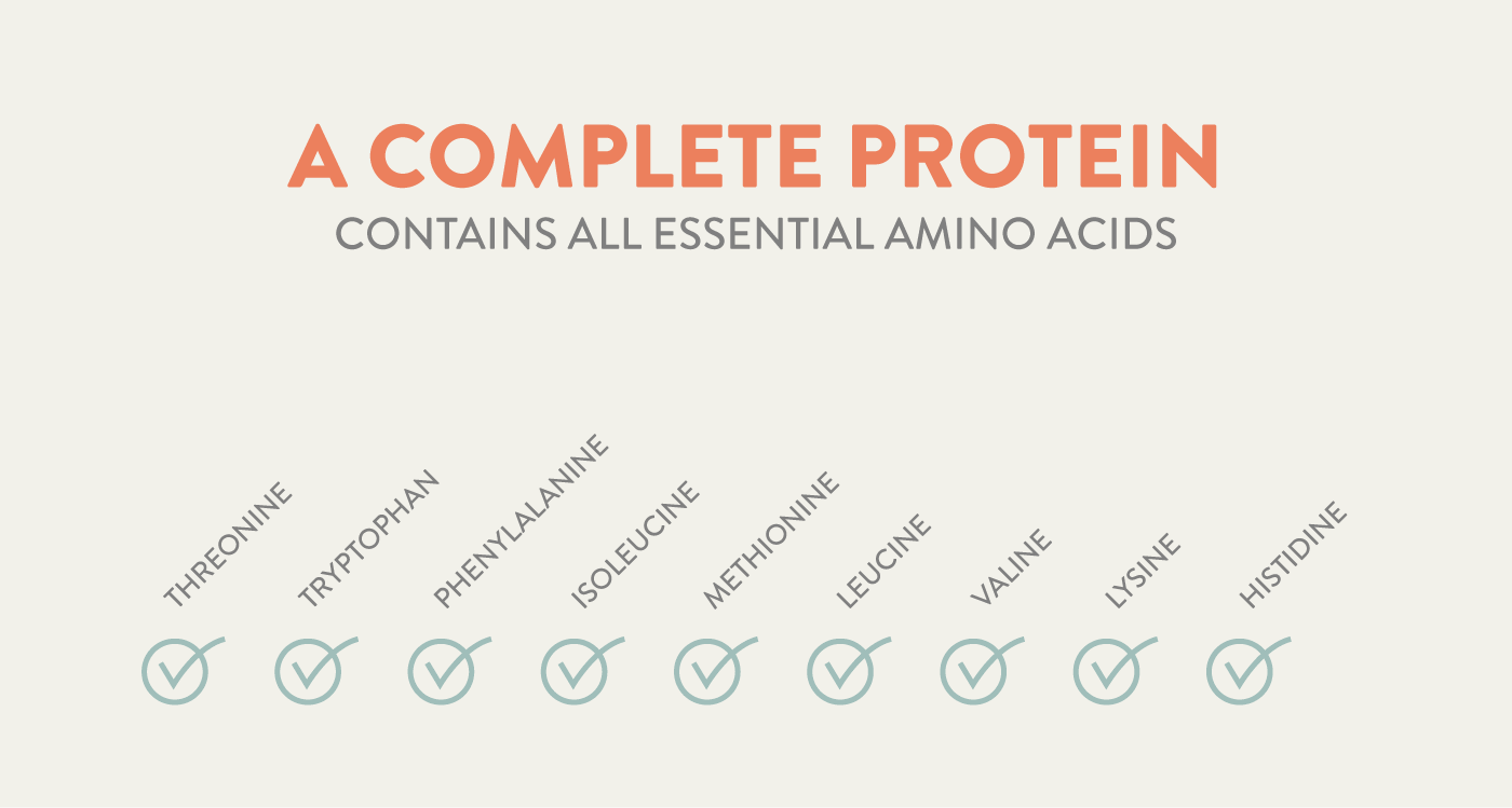 Cricket Protein vs Beef